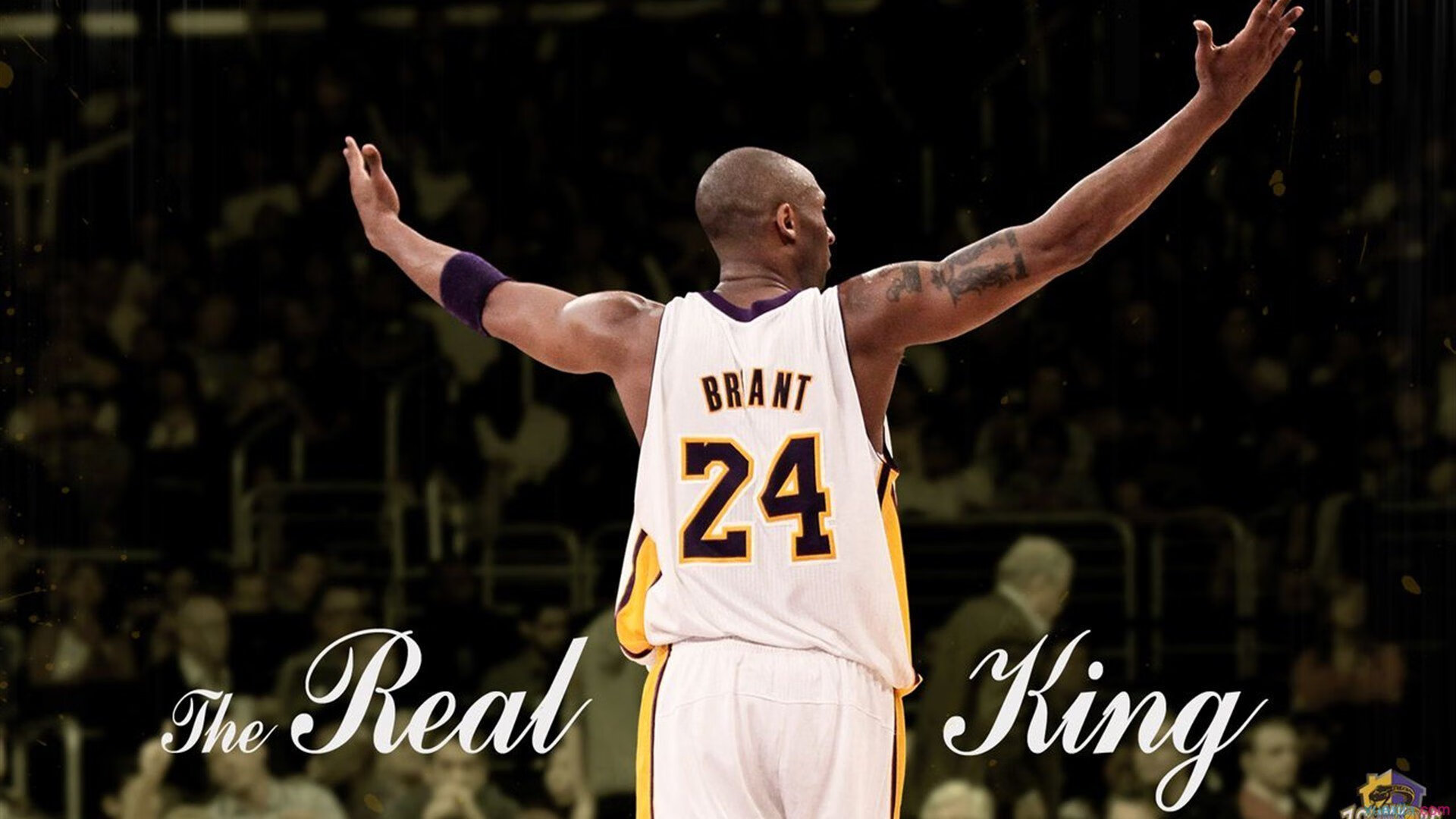 银翼的逆袭,当拉塞尔在蒙扎撕碎红色神话